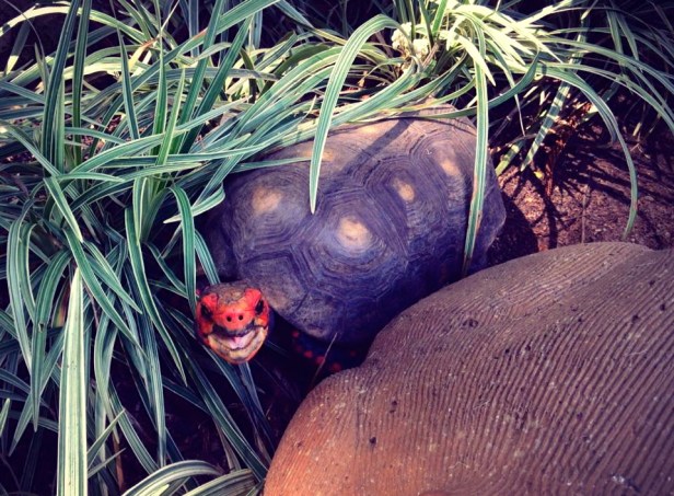 10155572_10152338941632365_3528381111351059975_n