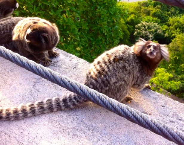 10271549_10102463903838813_5954392245855838801_n