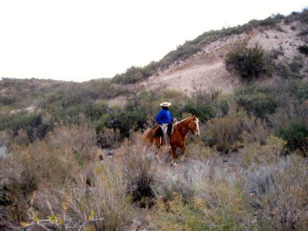 34075_904069076223_8299383_n