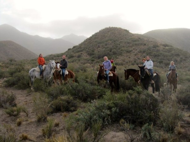 37728_904069390593_407239_n