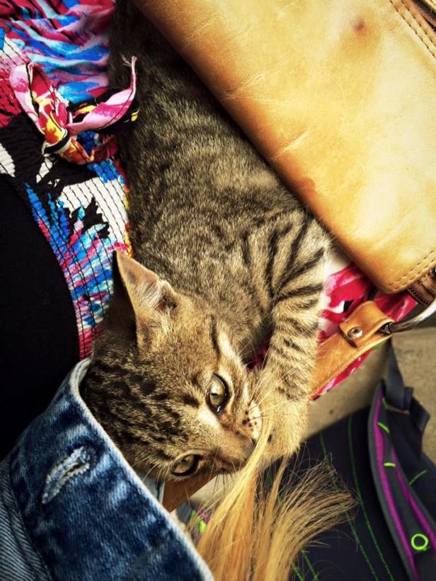 12274616_10103902701267233_4967576501107333605_n